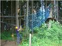 Veranstaltungsbild Kletterwald Osnabrück